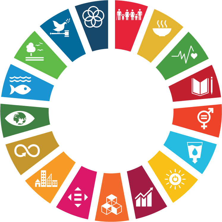 SDG Wheel